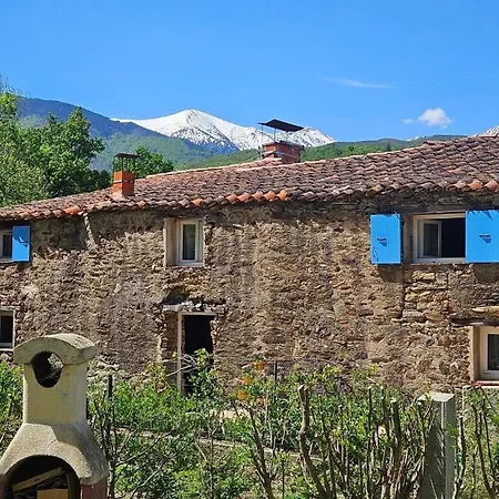 L'arche D'olivier, Mas Perangel